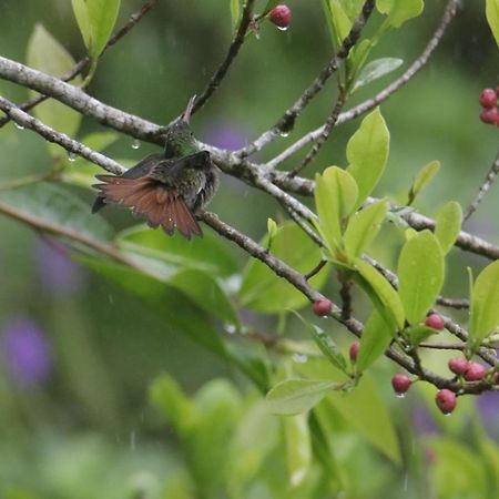 比加瓜Aves De Tierras Altas别墅 外观 照片